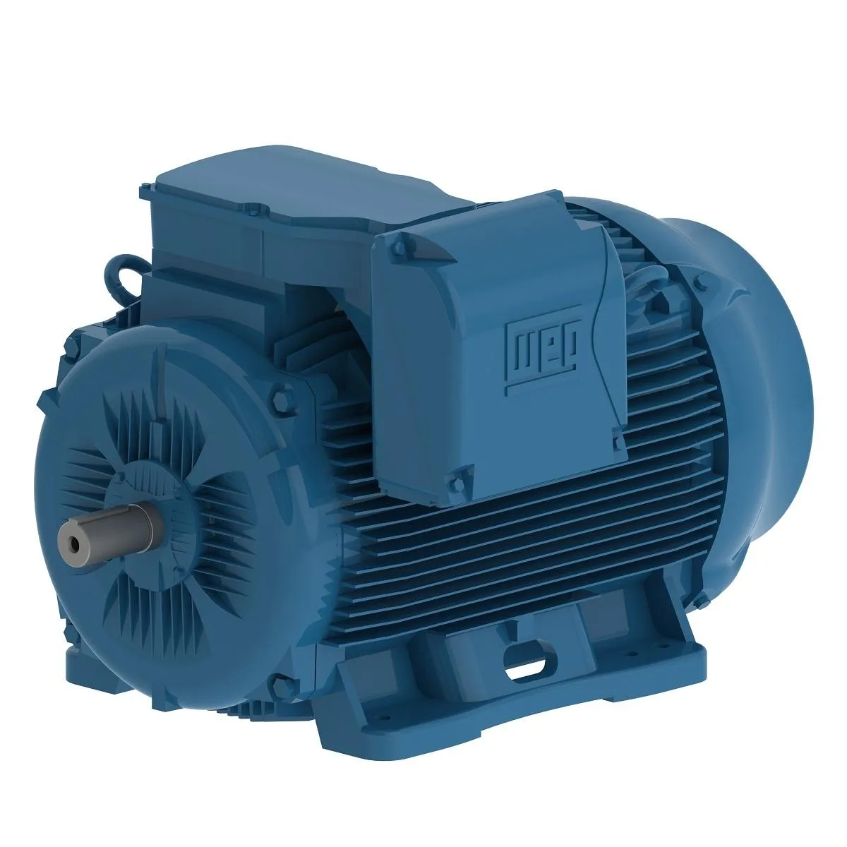 100cv 1000rpm 380/660V IP55 315S/M B3